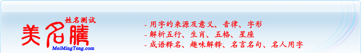 用字的來源及意義、音律、字形；五行、生肖、五格、星座；成語釋名、趣味解釋、名言名句、名人用字