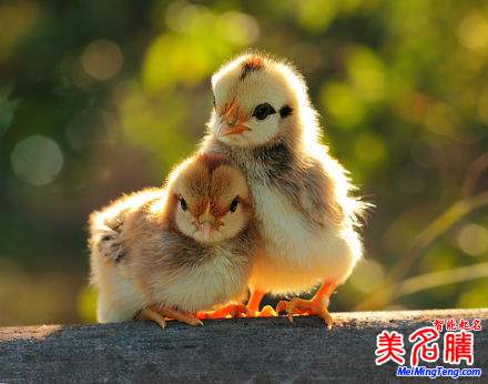 杭州新生兒最熱名字排行榜首次權(quán)威公開(kāi)，起名漸趨中性化：宇軒、梓涵、梓睿、詩(shī)涵最多