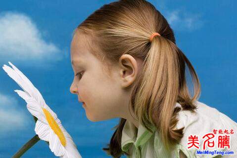 屬狗陳姓寶寶起名，女寶寶起名大全