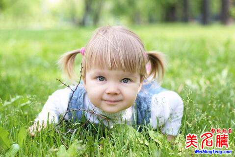 屬狗陳姓寶寶起名，女寶寶起名大全
