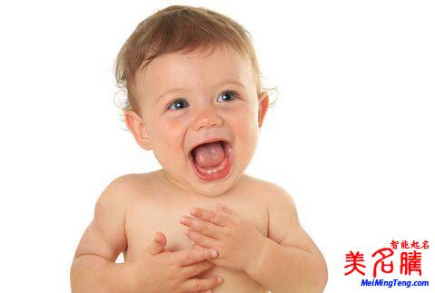 楊姓起名，楊姓屬狗男寶寶起名大全